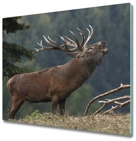 Üveg vágódeszka Deer a hegyen 60x52 cm