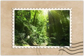 Poszterek 60x40 Varázslatos erdő Tájkép