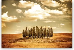 Fák Barna poszter 21x30 cm nyomtatás kép #186