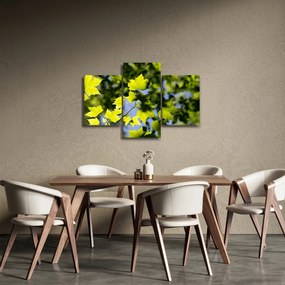 Kép - juhar levelek (90x60 cm)