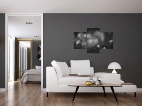 Kép - Mezei fű (90x60 cm)