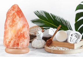 Sólámpa SALLY 1xE14/25W/230V