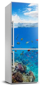 Dekor matrica hűtőre Korallzátony FridgeStick-70x190-f-99741129