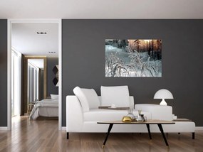 Kép - Fagyott rét (90x60 cm)