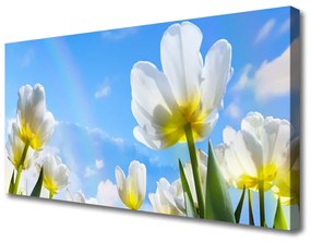 Vászonkép Növények Flowers Tulipán 100x50 cm