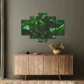 Kép - Pálmalevél (150x105 cm)