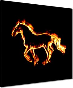 Vászonkép 80x80 Tűz paripa