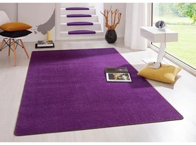 Sötétlila szőnyeg 160x240 cm Fancy – Hanse Home