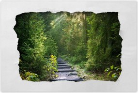 Poszterek 60x40 Tájkép