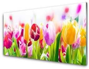 Üvegkép tulipán virágok 125x50 cm