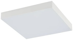 Lid