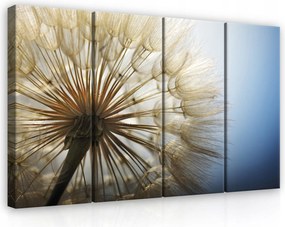 Vászonkép 120x80 Pitypang mag pehely könnyedség természet nyugalom alvás