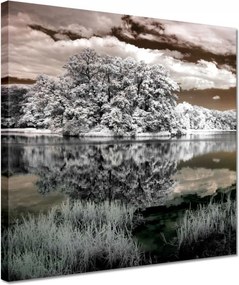 Vászonkép 30x30 Tájkép Infravörös Ir