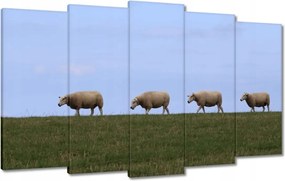 Vászonkép 100x60 Juh legeltetés Bárányok