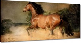 Vászonkép 180x90 Ló Lovak Lovaglás