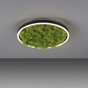 JUST LIGHT. 15391-66 - LED Dimmelhető mennyezeti lámpa ZÖLD RITU LED/20W/230V