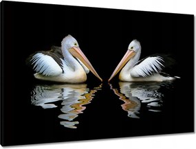 Vászonkép 90x60 Kormoránok