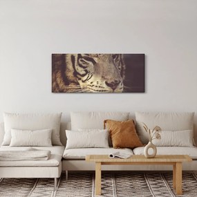 Tigris képe (120x50 cm)