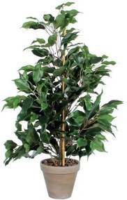 Vepabins  Exotica kislevelű fikusz műnövény, zöld, magasság: 65 cm%