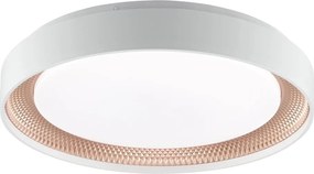 Brilliant - dimmelhető LED mennyezeti lámpatest WALDO LED/24W/230V fehér/rózsaarany + távirányító