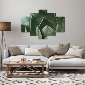 Kép - Zöld agávé (150x105 cm)