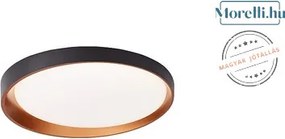 Mennyezeti Lámpa Fekete ADEL PALNAS 61004563