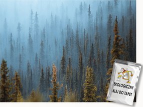 Fotótapéta Flizelina Tájkép Kilátás Erdő Tűlevelű Fák Köd 150x105 ragasztó