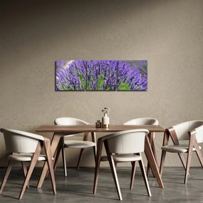 Kép - levandula (órával) (90x30 cm)