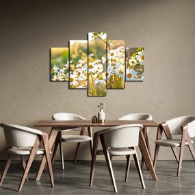 Kép - Százszorszépek (150x105 cm)