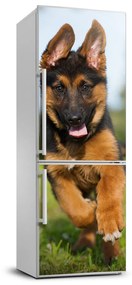 Hűtő matrica Német juhász FridgeStick-70x190-f-109543381