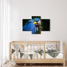 Papagáj képe (90x60 cm)