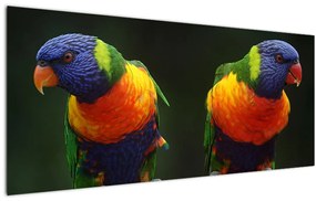 Papagájok képe (120x50 cm)