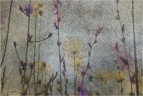 Dekoratív Fotótapéta Hálószobába Mezei virágok 104x70 Ragasztó