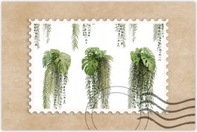 Poszter 60x40 Monstera Lyukas levelek