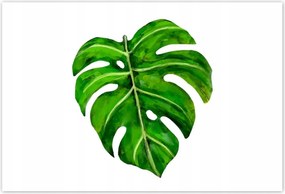 Poszterek 200x135 Modern levél kép