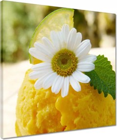 Vászonkép 40x40 Gyümölcsös sárgabarack fagylalt