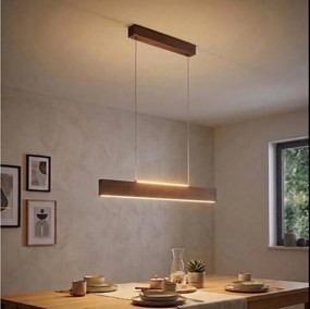 Eglo 39346 - LED kábeles csillár CLIMENE LED/17W/230V + LED/4,2W dió