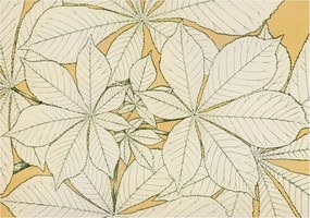 Flizelin fotótapéta Flizelin Design Gesztenye levelek 312x219