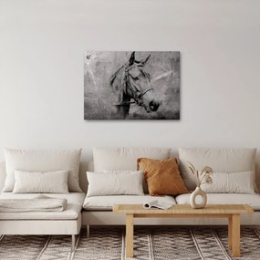 Kép - Egy ló portréja (70x50 cm)