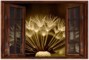 Poszterek 60x40 Pitypang Virág Virágok