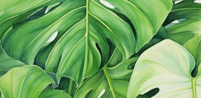 Poszter 91,3x44,5cm A levelek titkai