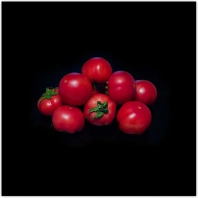 Poszterek 30x30 Piros paradicsom