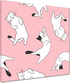Vászonkép 50x50 Cica Cicák Macskák