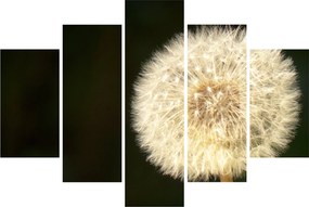 Szürke virág képe (150x105 cm)