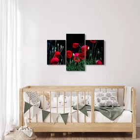 Kép - Pipacsok tánca (90x60 cm)