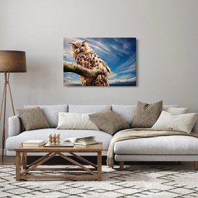 Kép - Bagoly (90x60 cm)