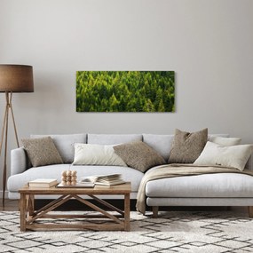 Kép - sűrű erdő (120x50 cm)