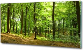 Fotó 100x50 falikép gyönyörű erdei ösvény