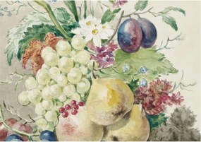 Flizelin Dekoratív fotótapéta Hálószobába Virágok és gyümölcsök 208x146