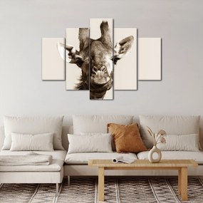 Kép - Zsiráf portré, vintage (150x105 cm)
